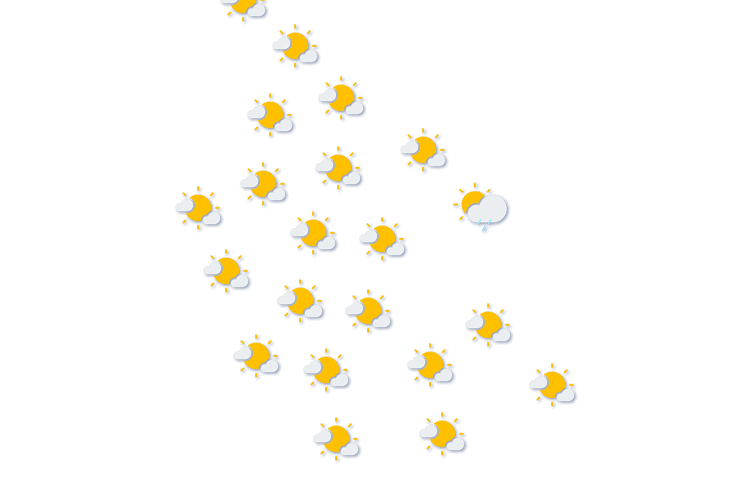 Forecast
