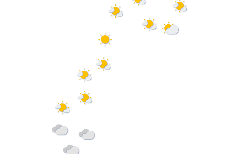 Forecast