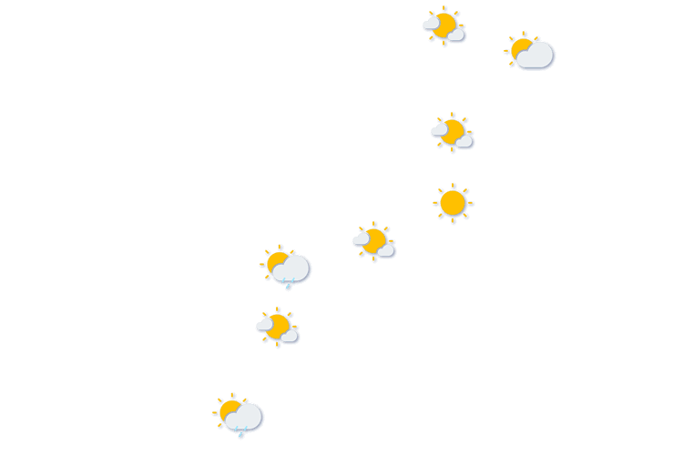 Forecast