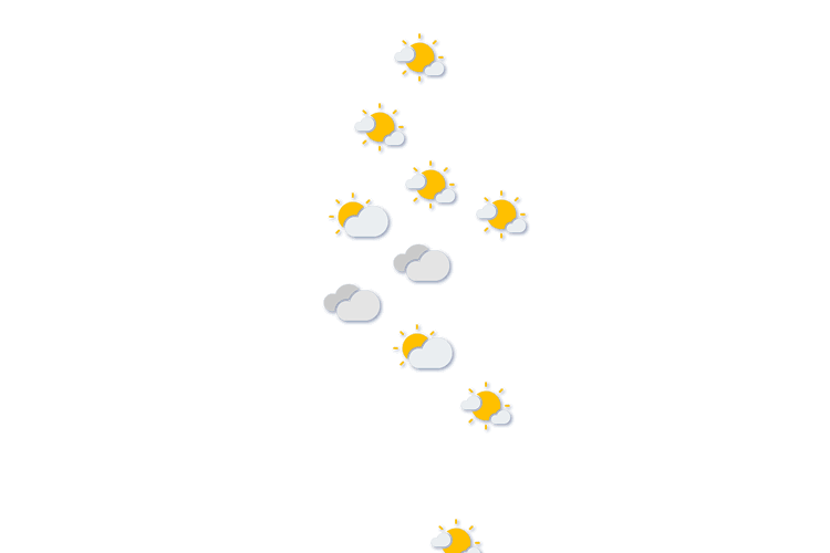 Forecast