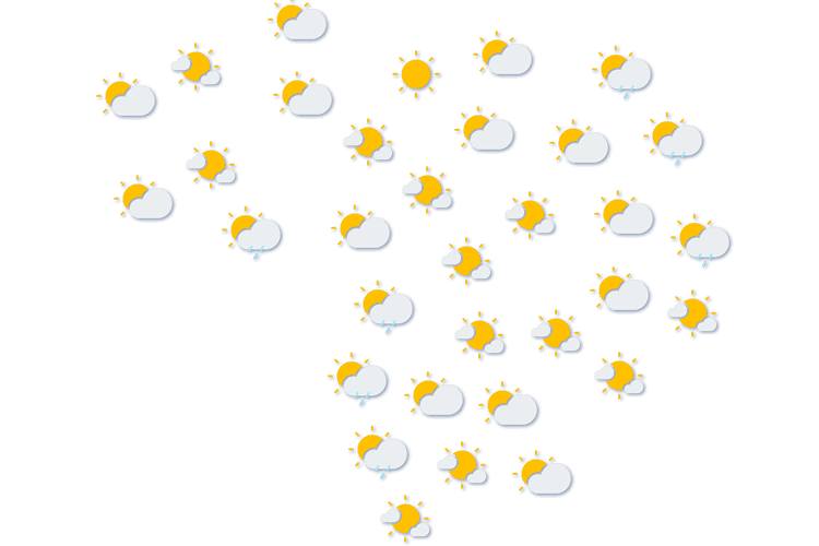 Forecast