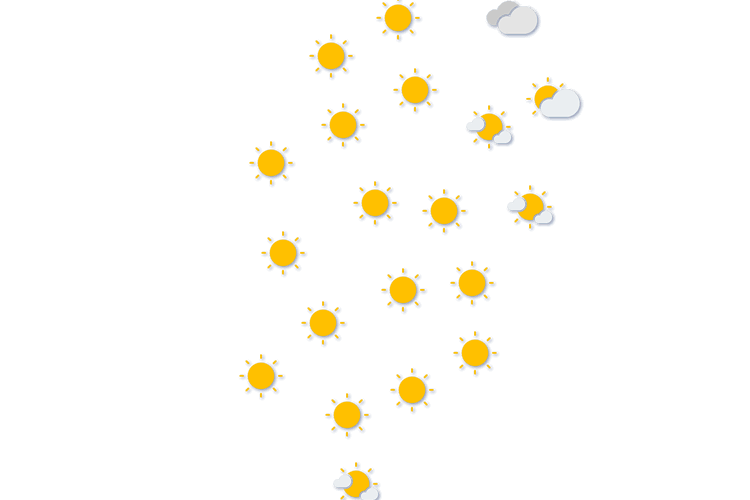 Forecast