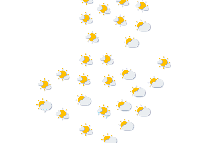 Forecast