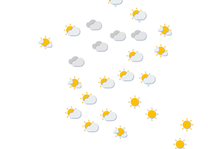 Forecast