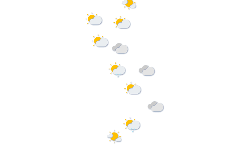 Forecast