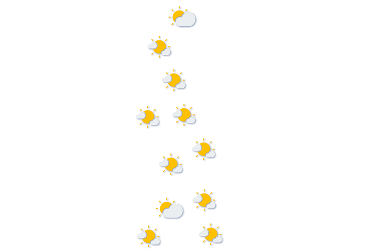 Forecast