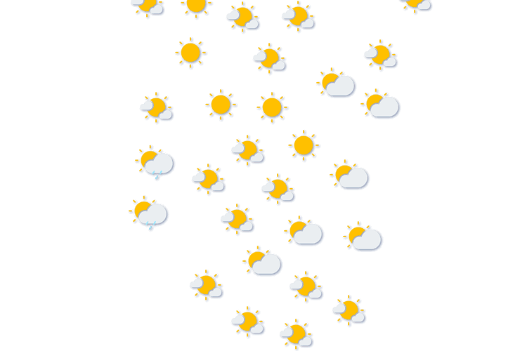 Forecast