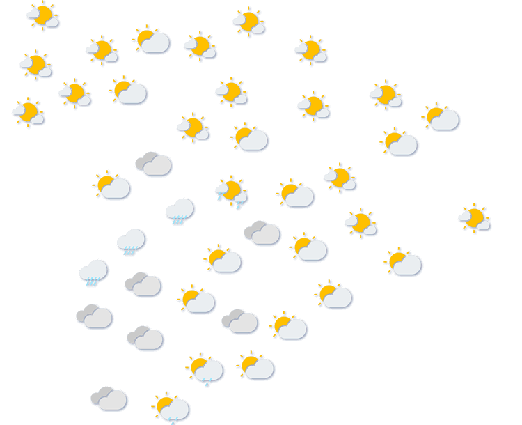 Forecast