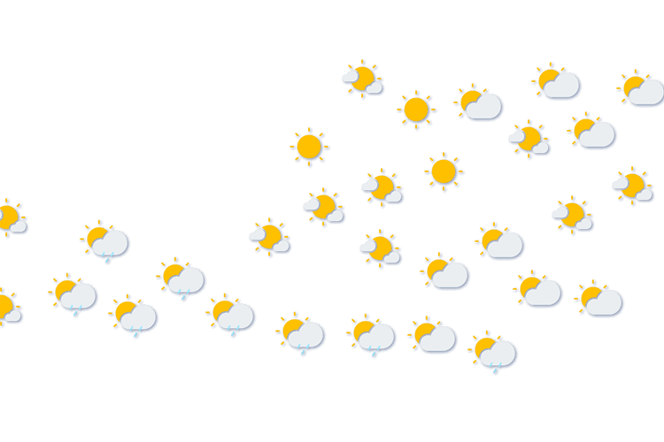 Forecast