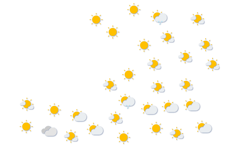 Forecast