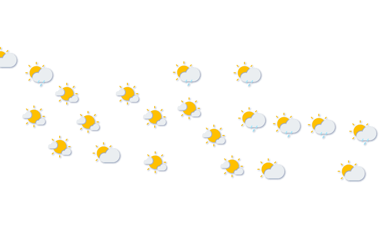 Forecast