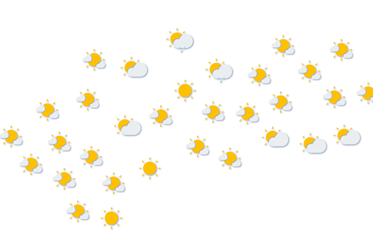 Forecast