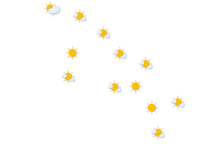 Forecast
