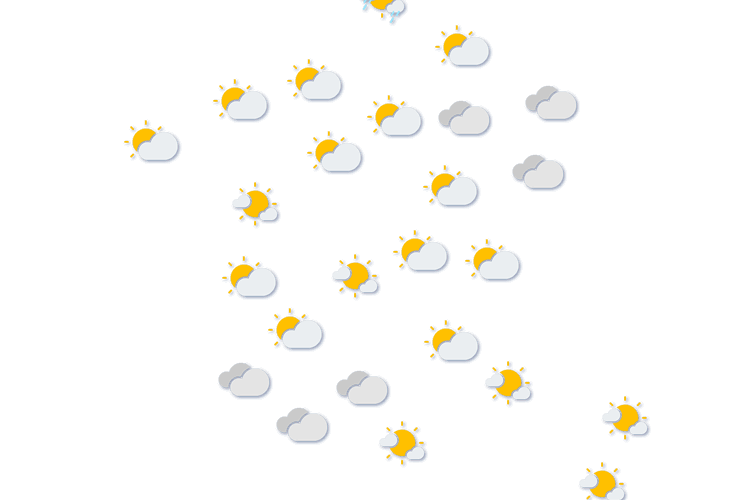 Forecast