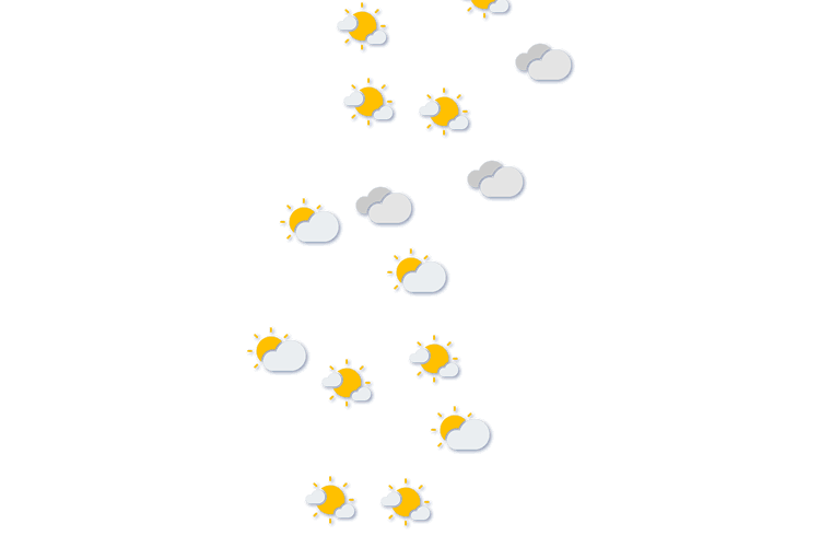Forecast