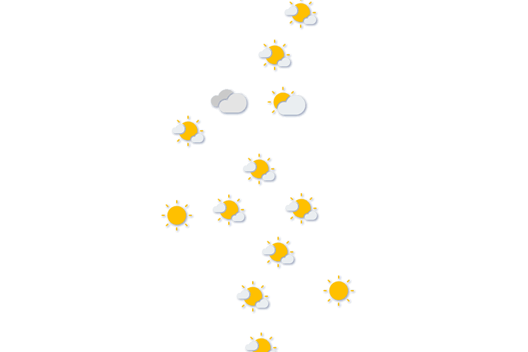 Forecast