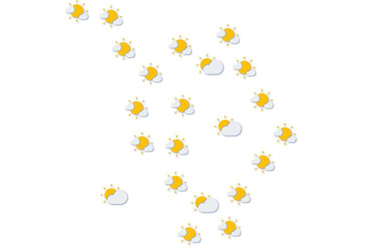 Forecast