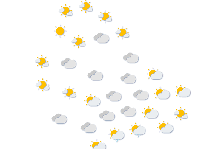 Forecast