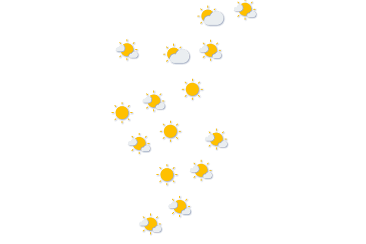 Forecast