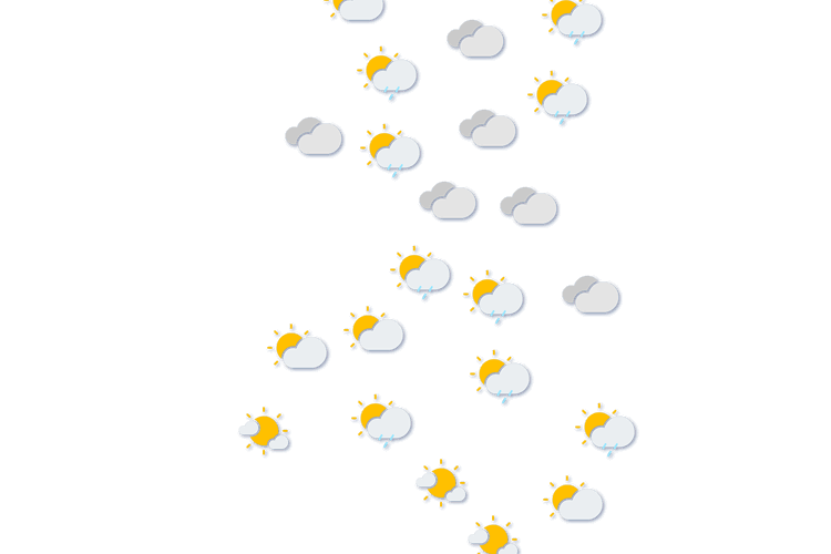 Forecast
