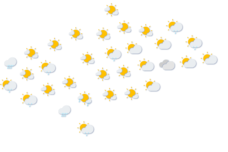 Forecast