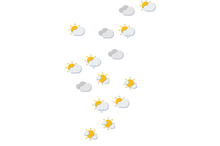 Forecast