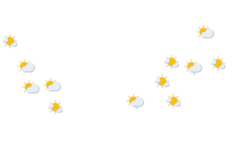 Forecast