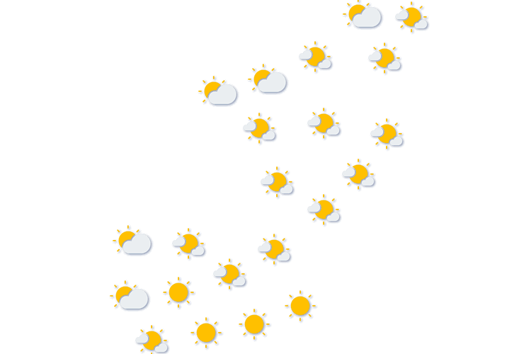 Forecast