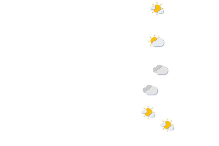 Forecast