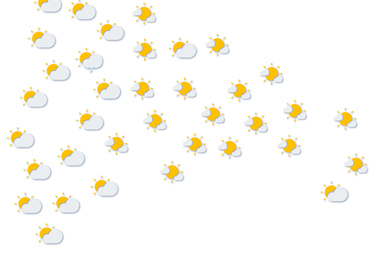 Forecast