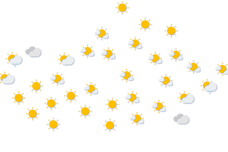 Forecast