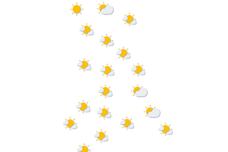 Forecast