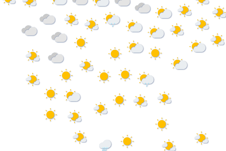 Forecast