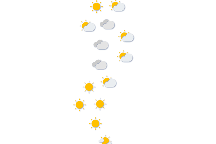 Forecast