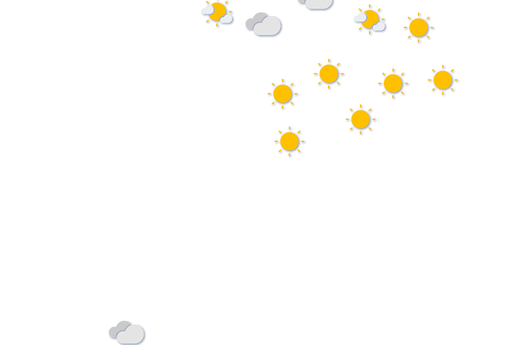 Forecast