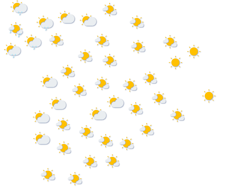 Forecast