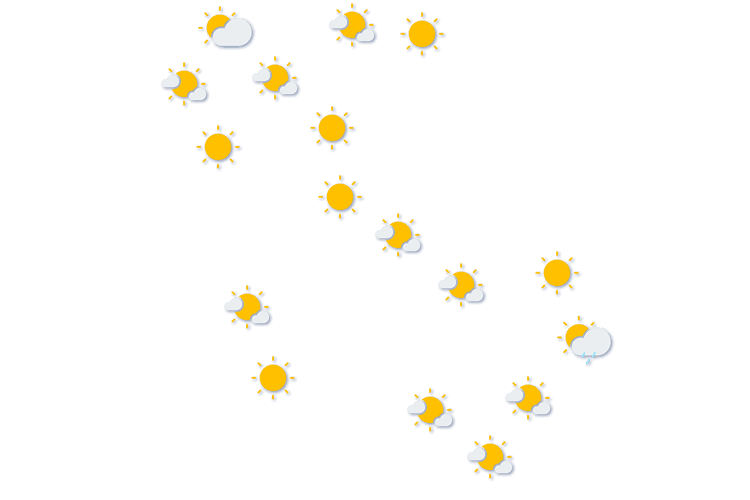 Forecast