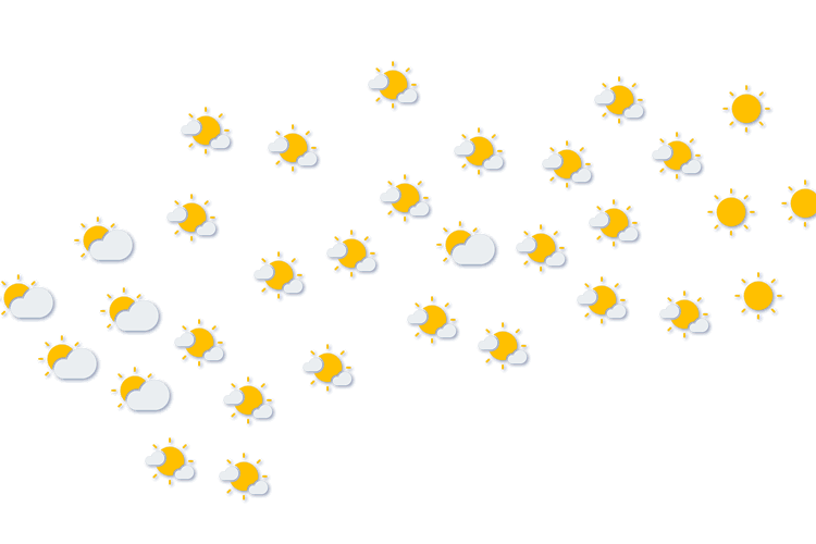 Forecast