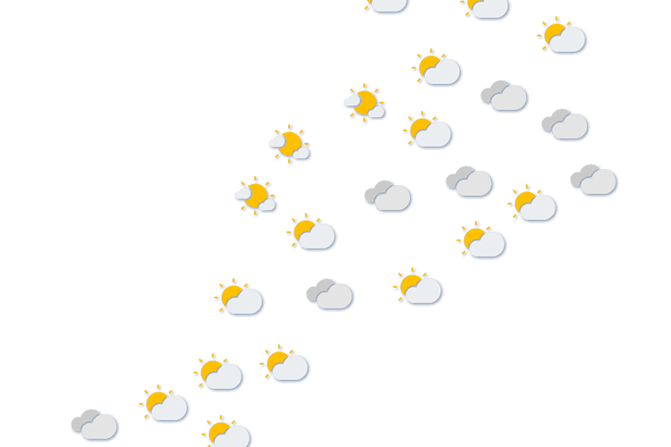 Forecast