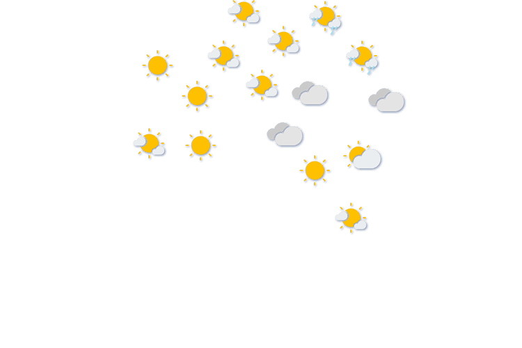 Forecast