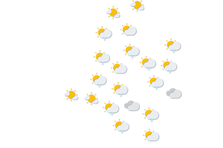Forecast