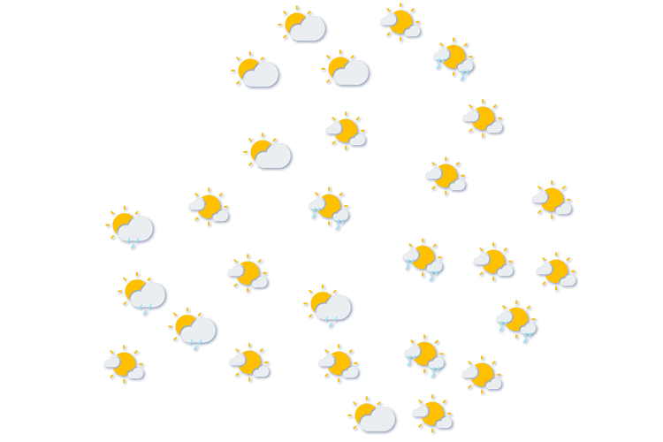 Forecast
