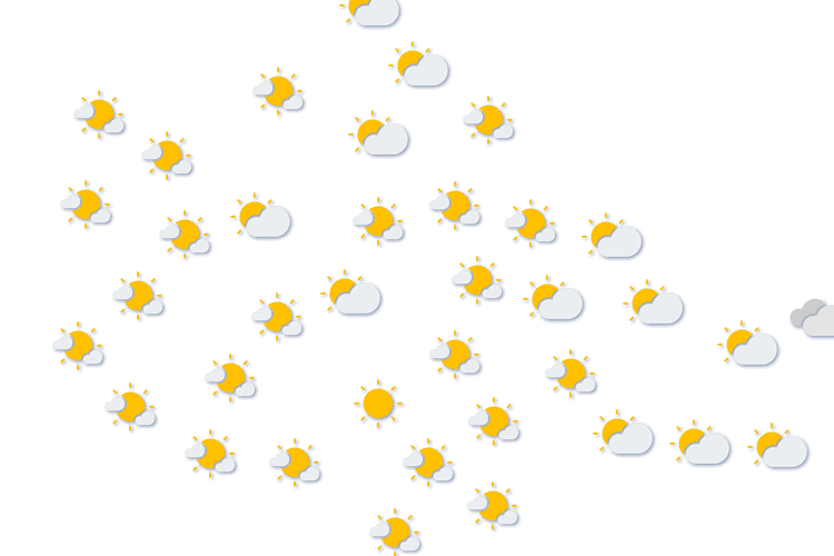 Forecast
