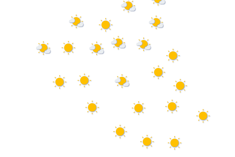 Forecast