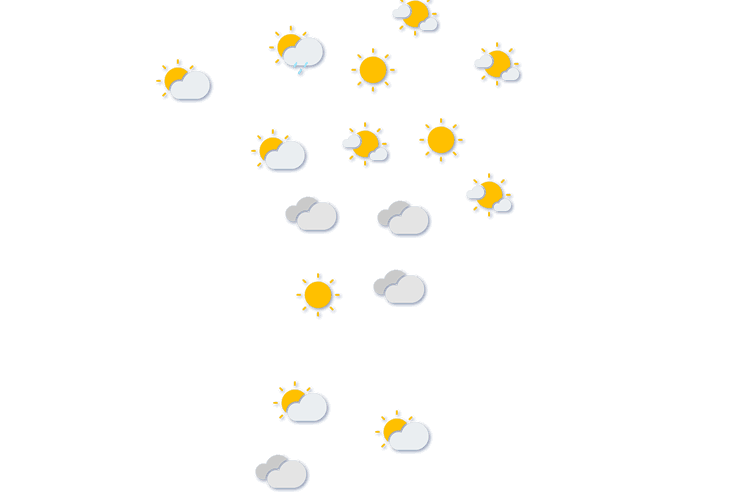 Forecast