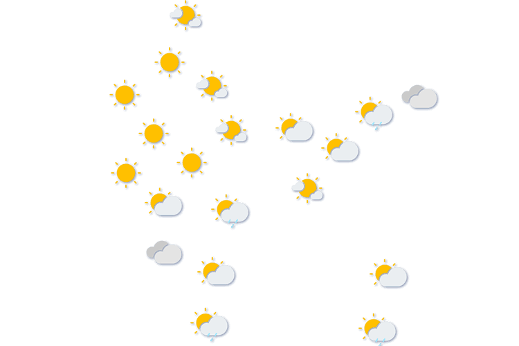 Forecast