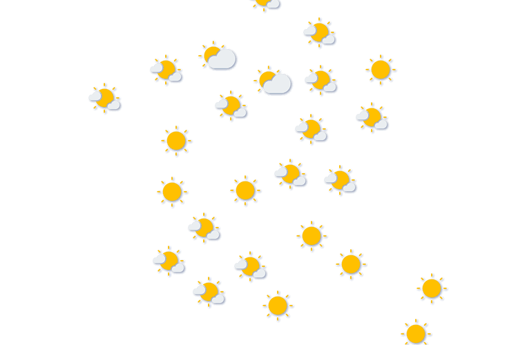 Forecast