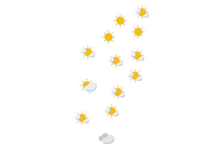 Forecast