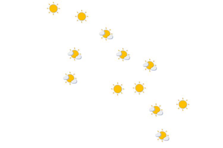 Forecast
