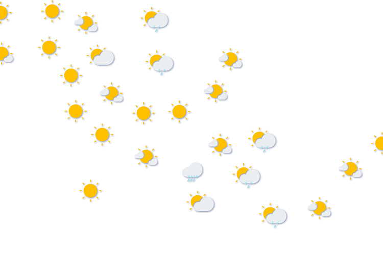 Forecast